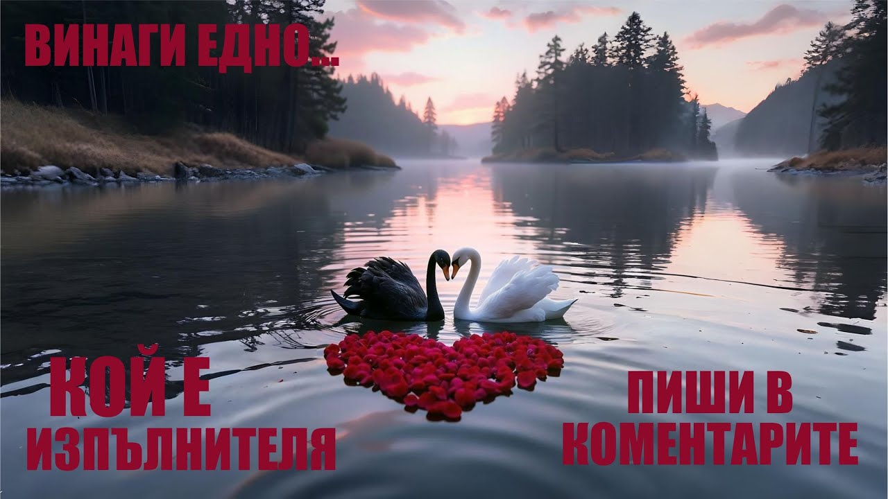 ВИНАГИ ЕДНО