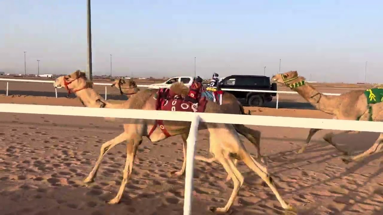 ش 7 بكار حقايق الفايزة ل  عايد حريب الشراري 