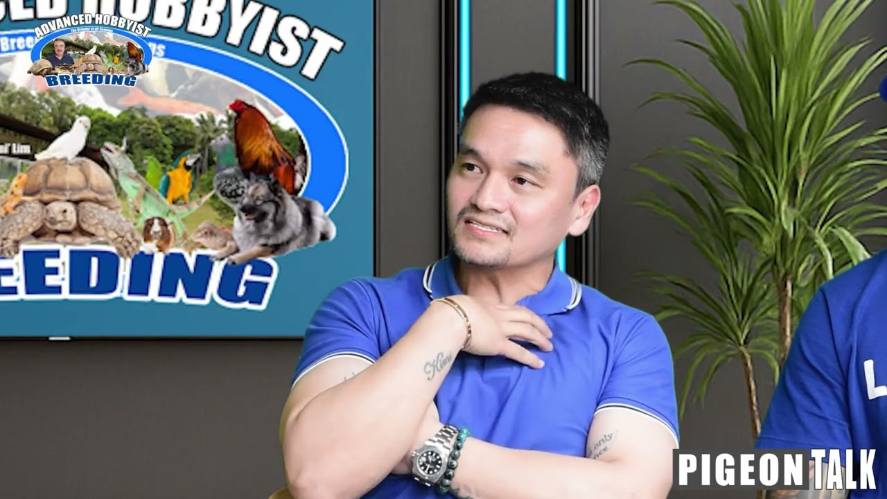 PART 3 | JOEY GALANG SHARE SOME BASIC STRATEGY IN RACING PIGEON