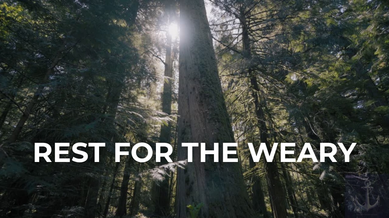 Stay in His Shelter | Quiet Scripture from Psalm 91 (AMP)
