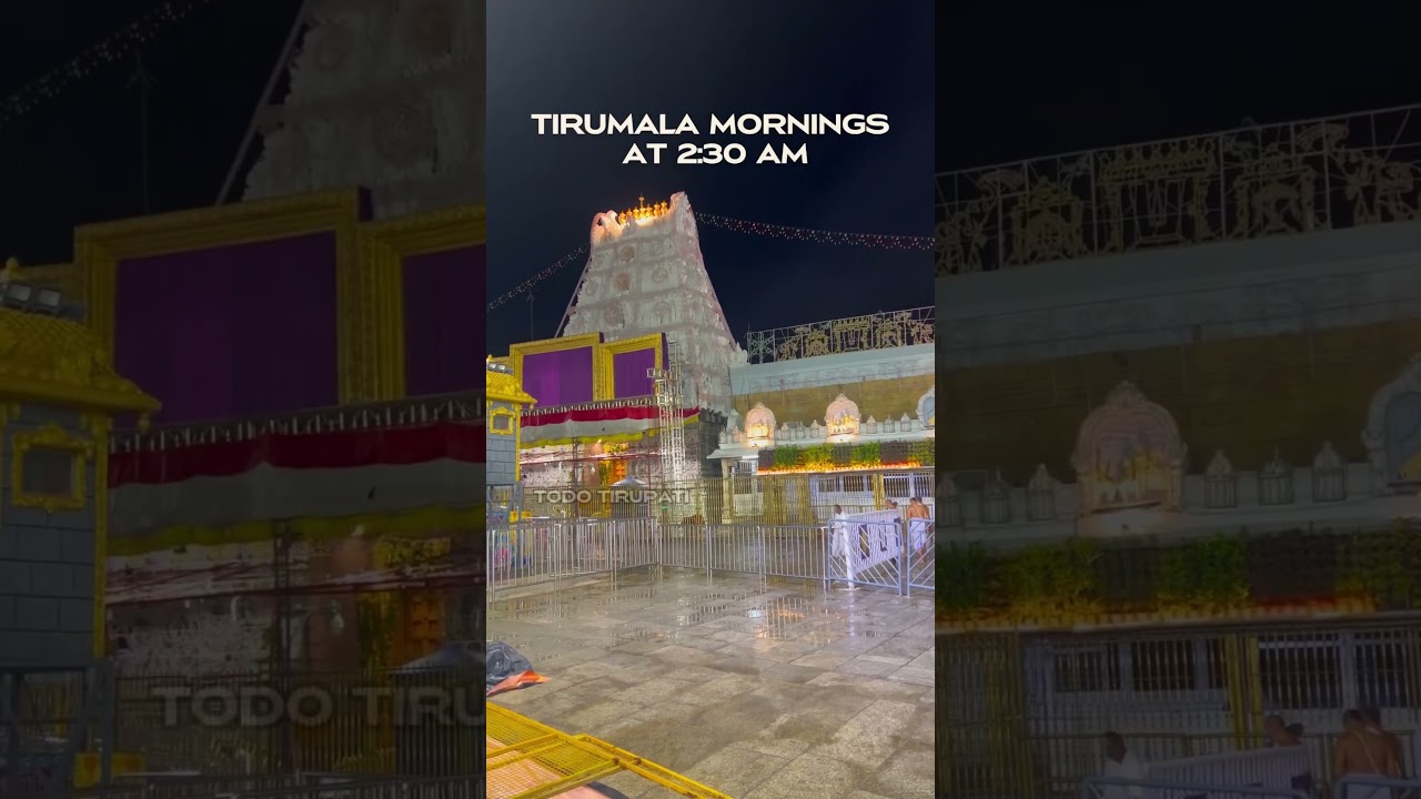 Tirumala Doors Opens at 2:30 Am by Priests #tirumala #balaji #tirupati