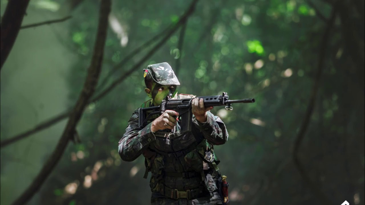 6 LEIS DO GUERRA NA SELVA