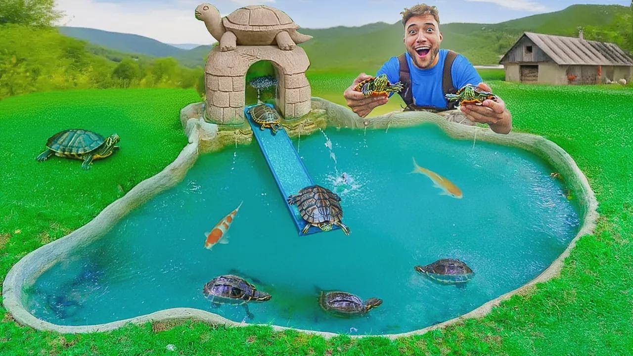 Meine Schildkröten bekommen einen neuen Teich – ihre Reaktion ist unbezahlbar!