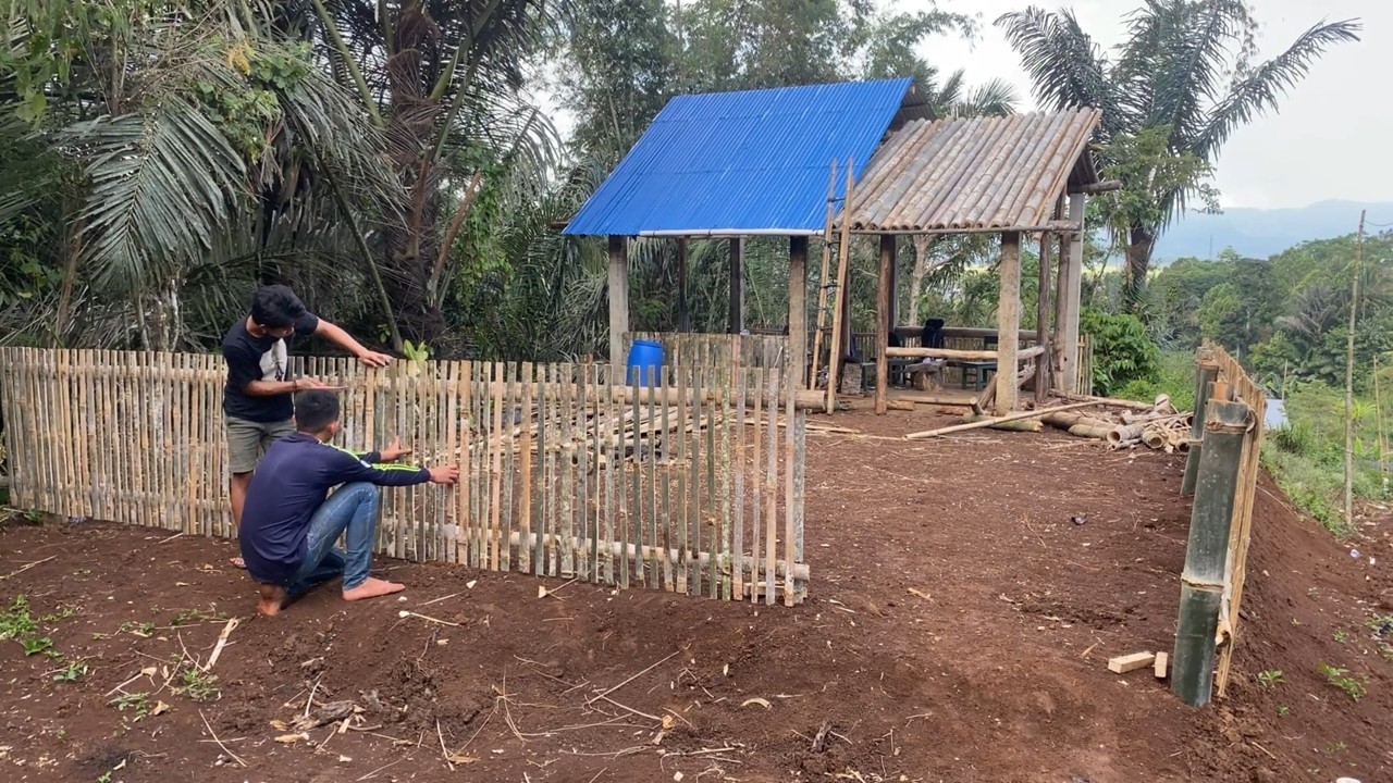 How to Build a Bamboo Fence