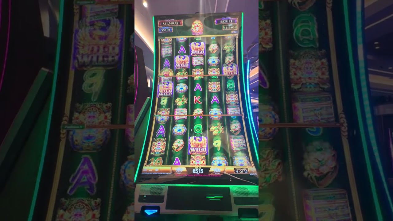 This was a Looong Bonus 