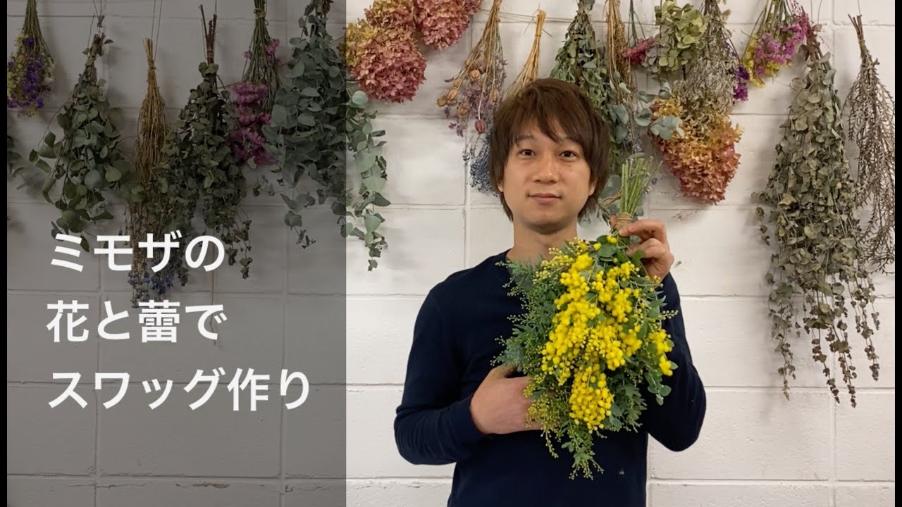 ミモザのスワッグを作ろう　ミモザの蕾と花を束ねて簡単フラワーアレンジ