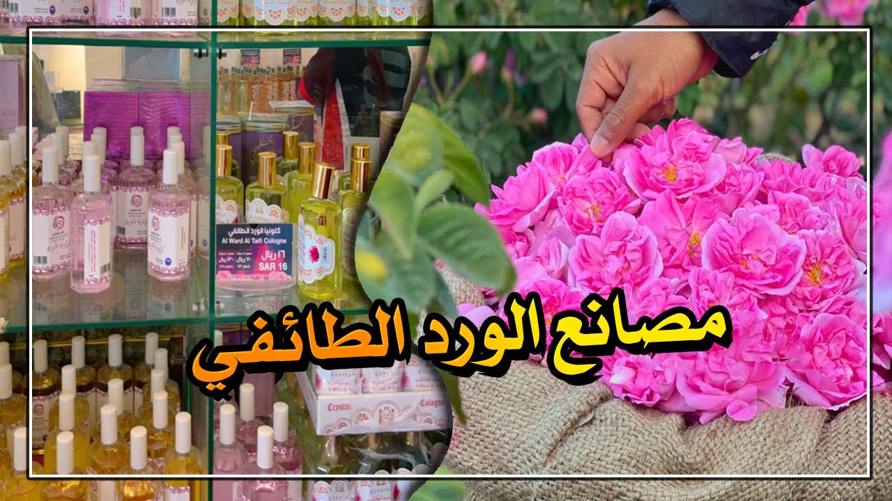 زيارتنا الى مصنع راشد القرشي لدهن وماء الورد الطائفي