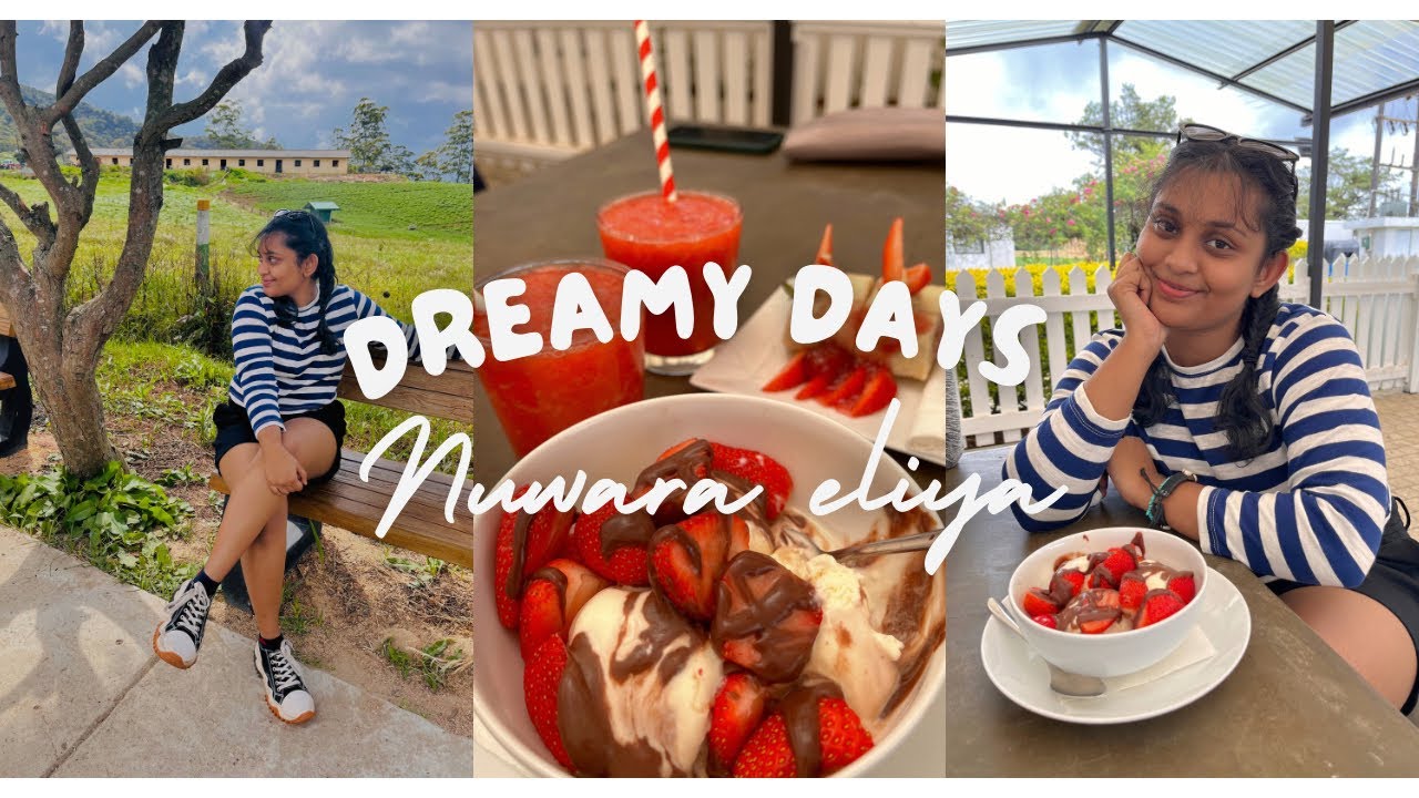 ආපහු නුවරඑළියේ 🍓🫧|Aesthetic holiday🌺🌱|  Filled with Strawberries and Flowers🌻🫧🪺