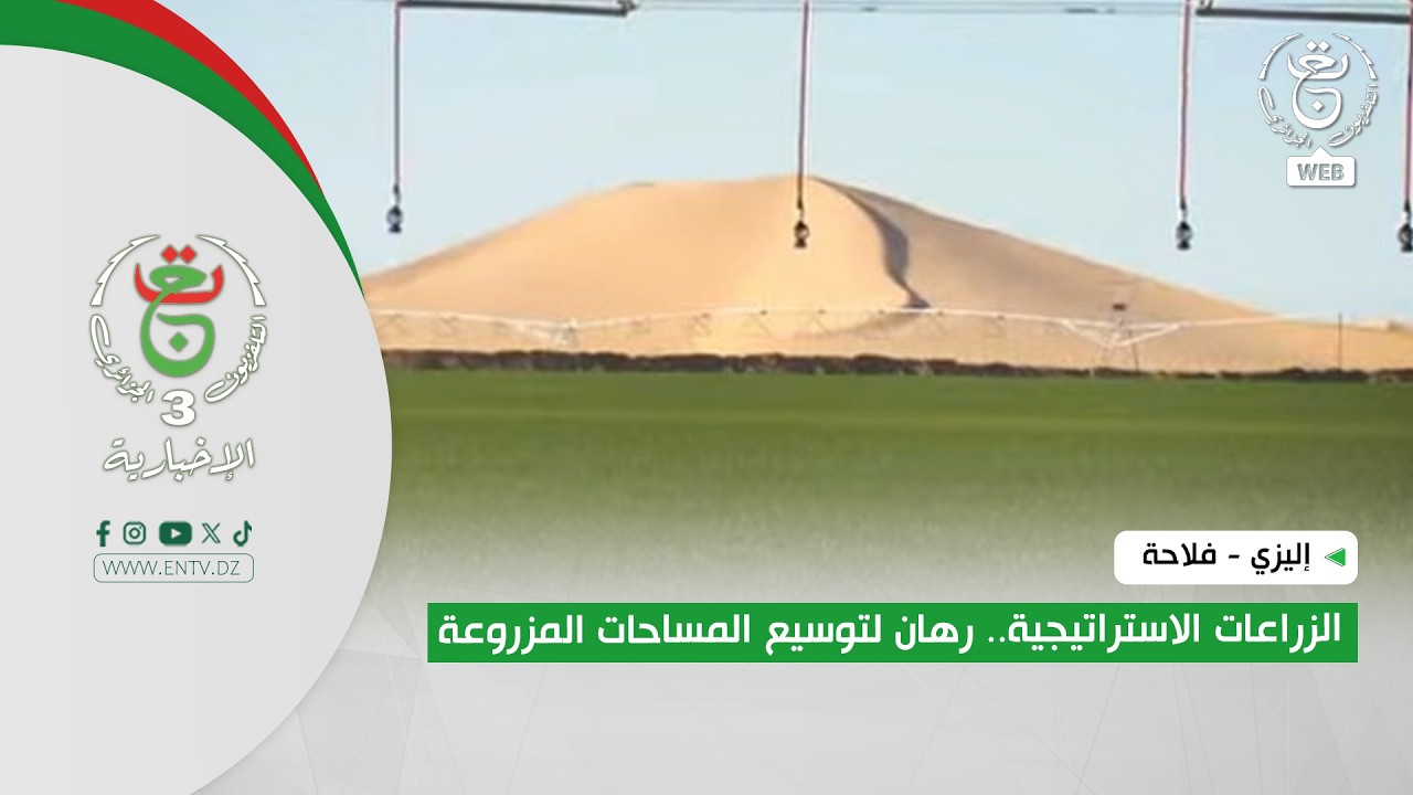 إليزي - فلاحة| الزراعات الاستراتيجية.. رهان لتوسيع المساحات المزروعة