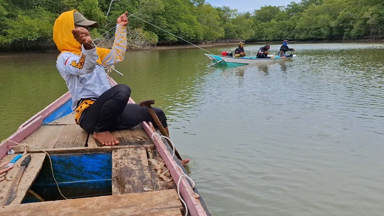 BERKALI-KALI SAMBARAN BARRAMUNDI DI TEMPAT INI, UMPAN UDANG HIDUP