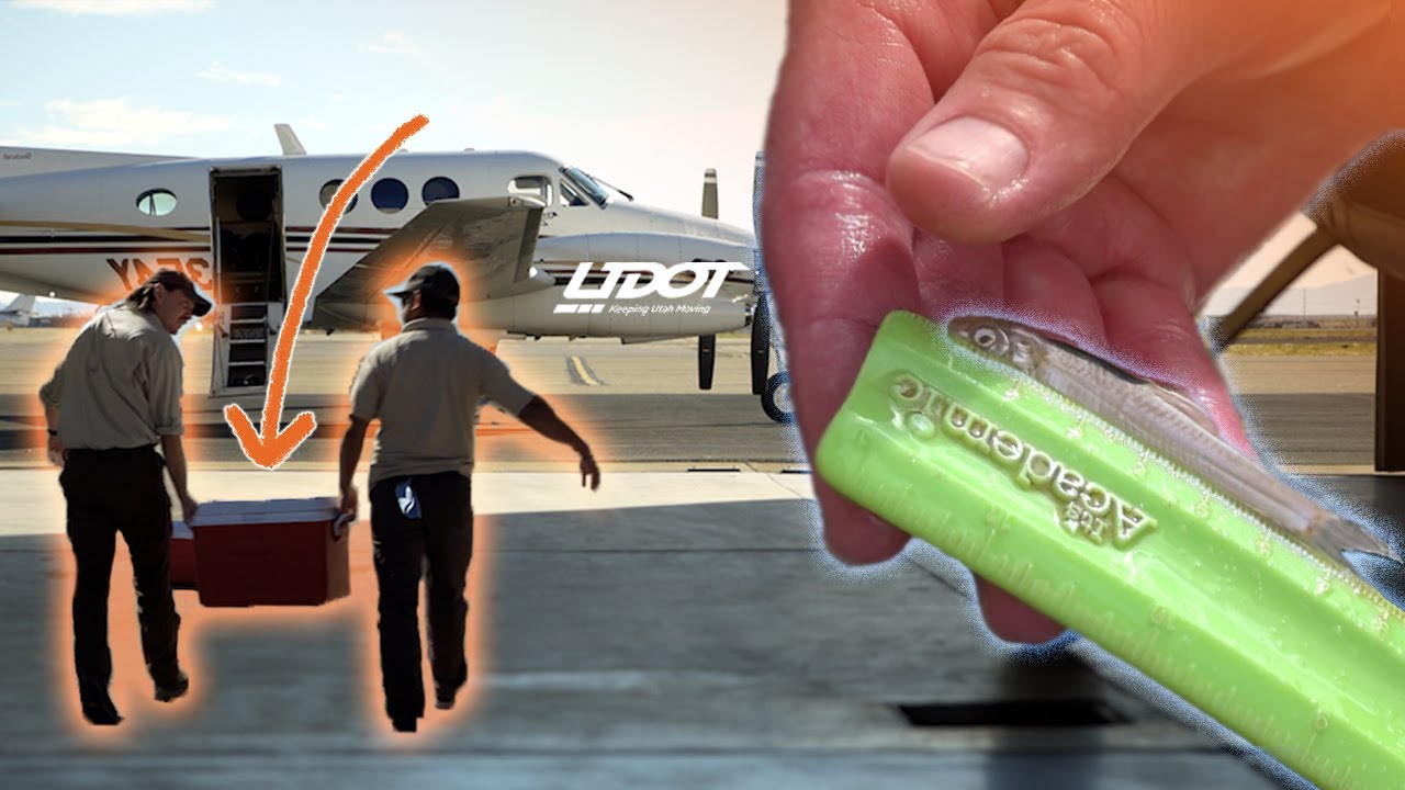 UDOT Division of Aeronautics Helps Transport Endangered Species