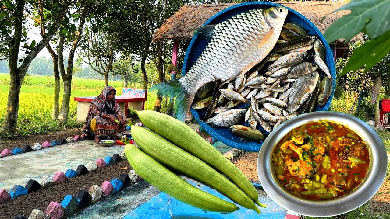 দেখেন পুকুর থেকে হাত দিয়ে মাছ ধরে | বাড়ি থেকে ধুন্দুল তুলে রান্না করলাম ||