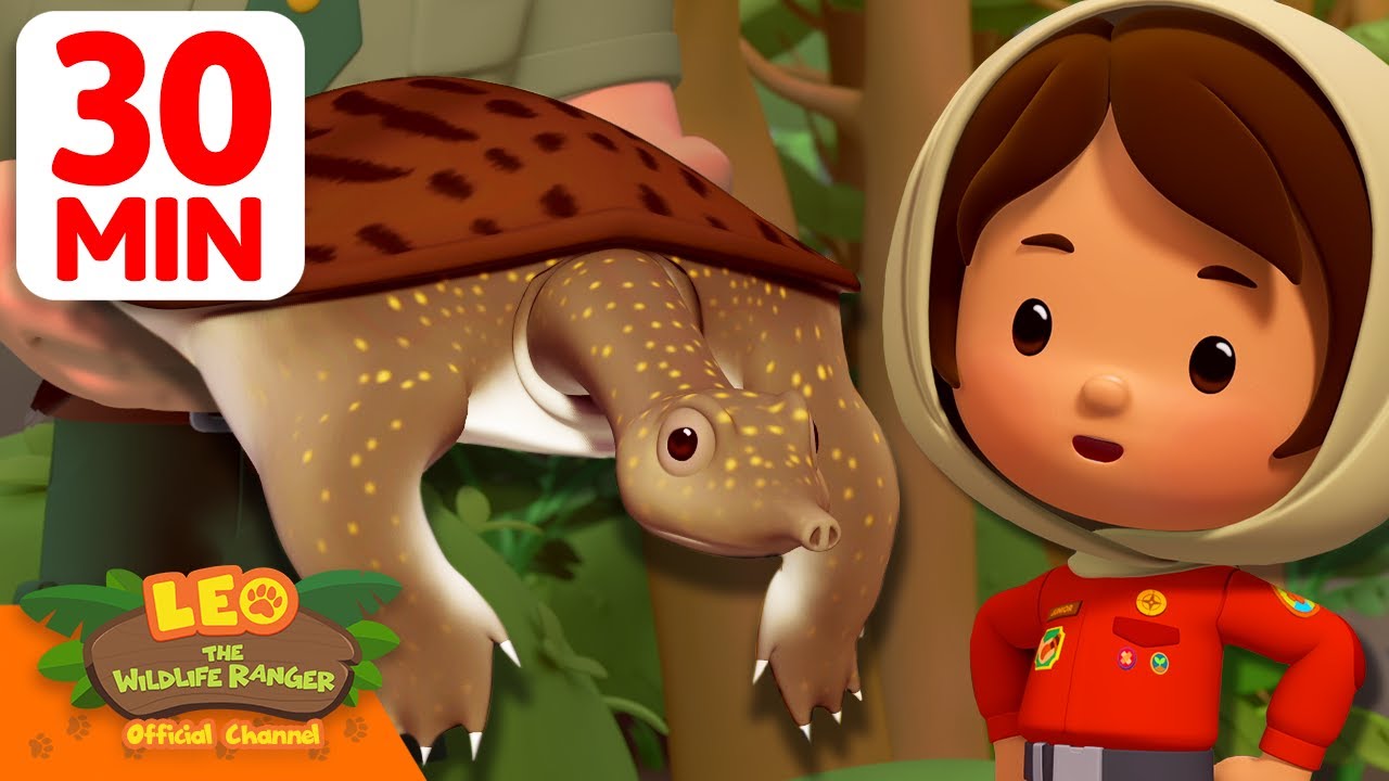 Helping the Softshell Turtle Find Safety! 🐢 | 30 Min | Leo the Wildife Ranger | Cartoons for School