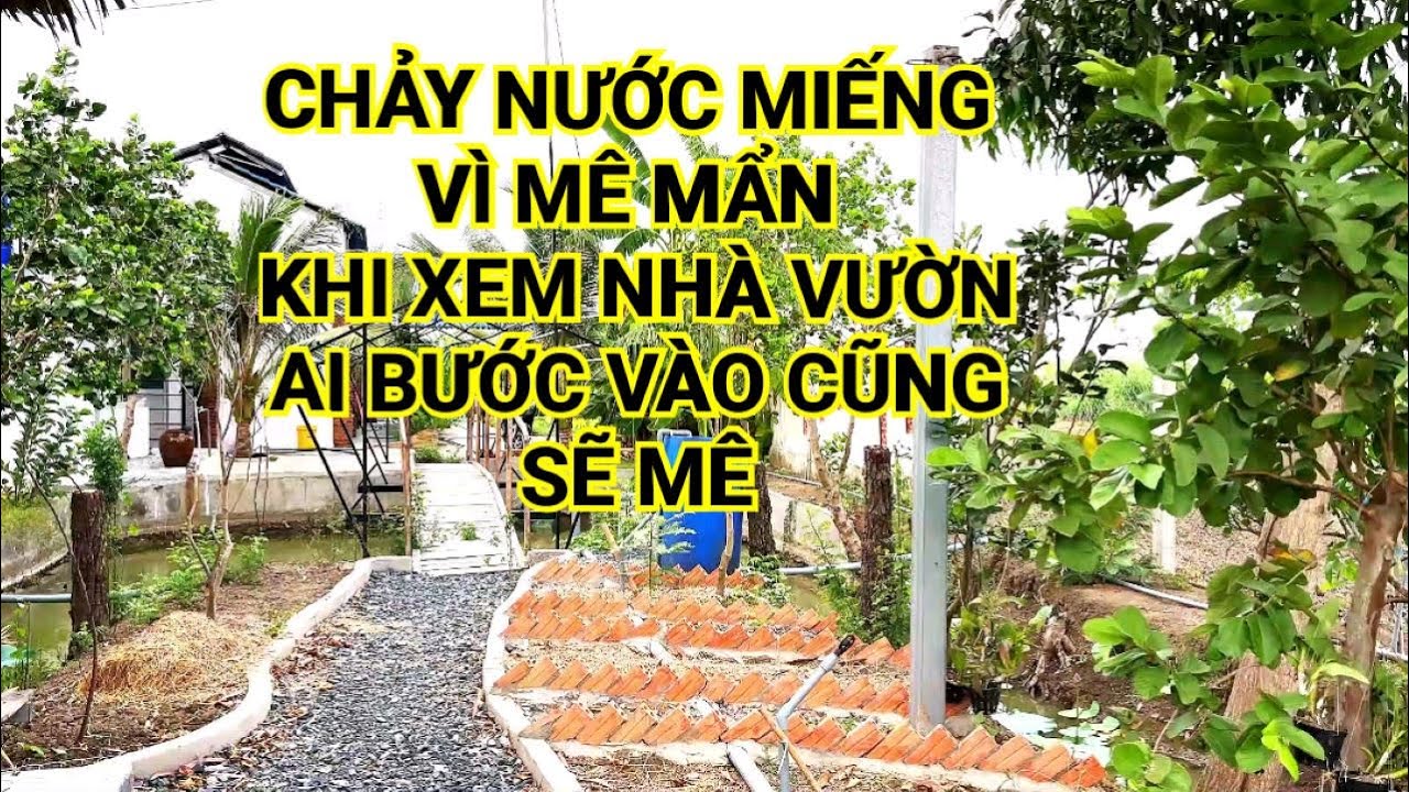 bán nhà tiền giang | nhà vườn nghĩ dưỡng đẹp 
