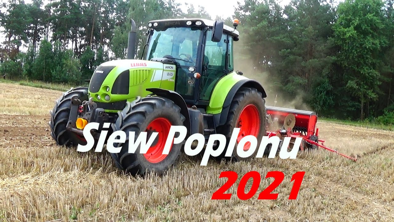Siew Poplonu / Zestaw Uprawo Siewny Unia Ares 3L / Claas Arion 640