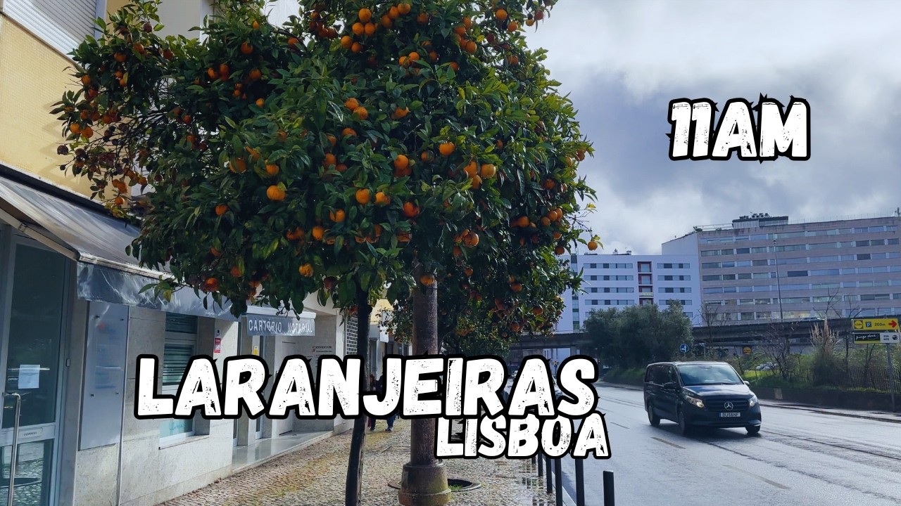 LARANJEIRAS passeio à pé 4K - Esta é a cidade de LISBOA 🇵🇹 às 11h