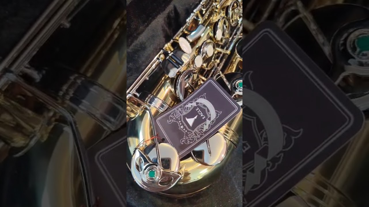 R$ 7.500,00 Sax Tenor Eagle ST503 Sib LN Original Novo Lacrado Pronta Entrega OLXPAY Compra Segura 