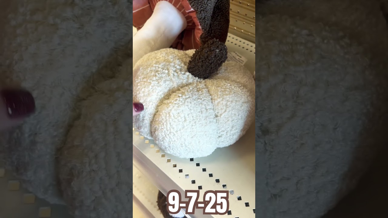 Target Dollar Spot Finds 9-7-25 #target #shopping