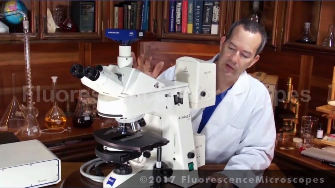 Zeiss Axioskop 2 Plus Upright Fluorescence Microscope (SKU-059)