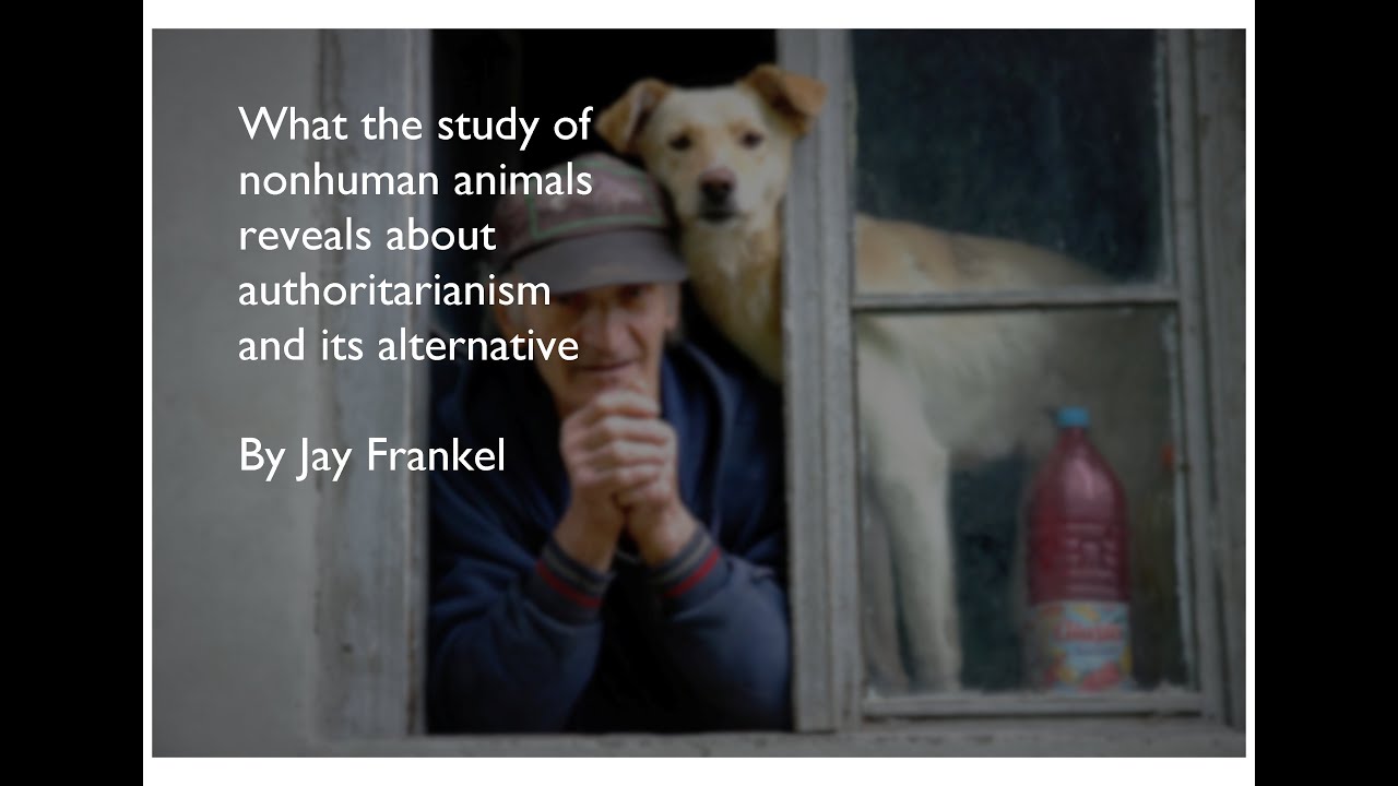 Trailer - What the study of nonhuman animals reveals about authoritarianism and its alternative