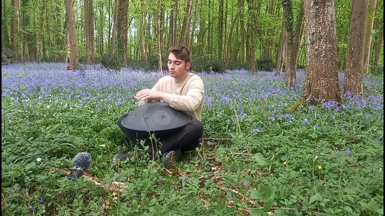 Test son zoom h5 handpan