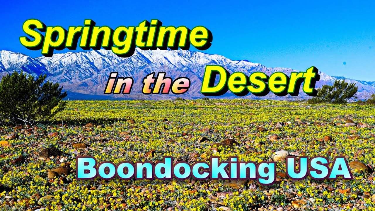 Springtime in the Desert - Boondocking USA