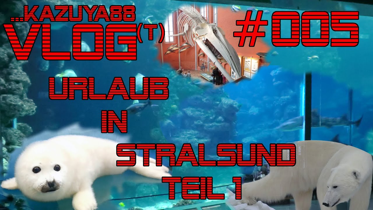 Urlaub in Stralsund - Teil 1 - Anreise & Besuch im Meeresmuseum - [Vlog] #005