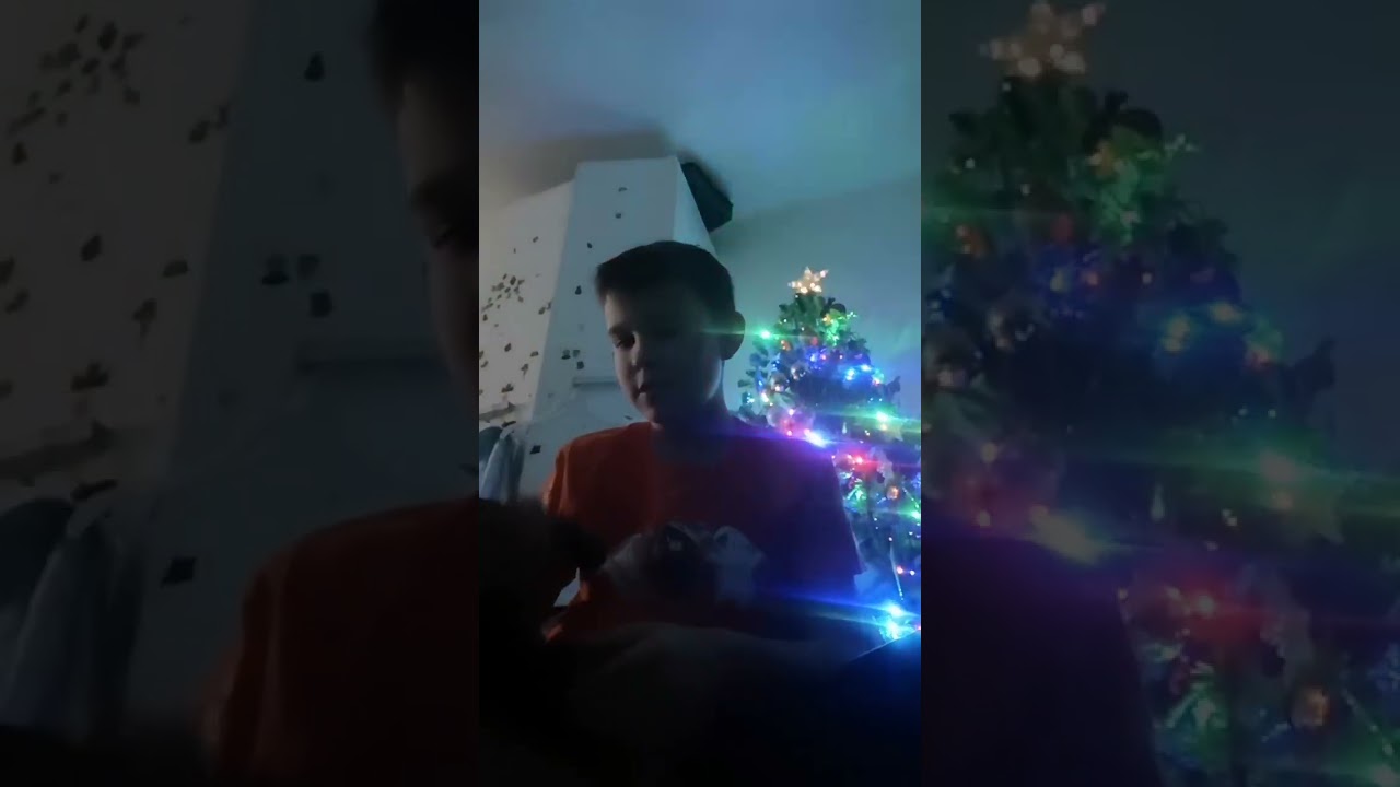 С НОВЫМ 2026 ГОДОМ!!! ЕЕЕ