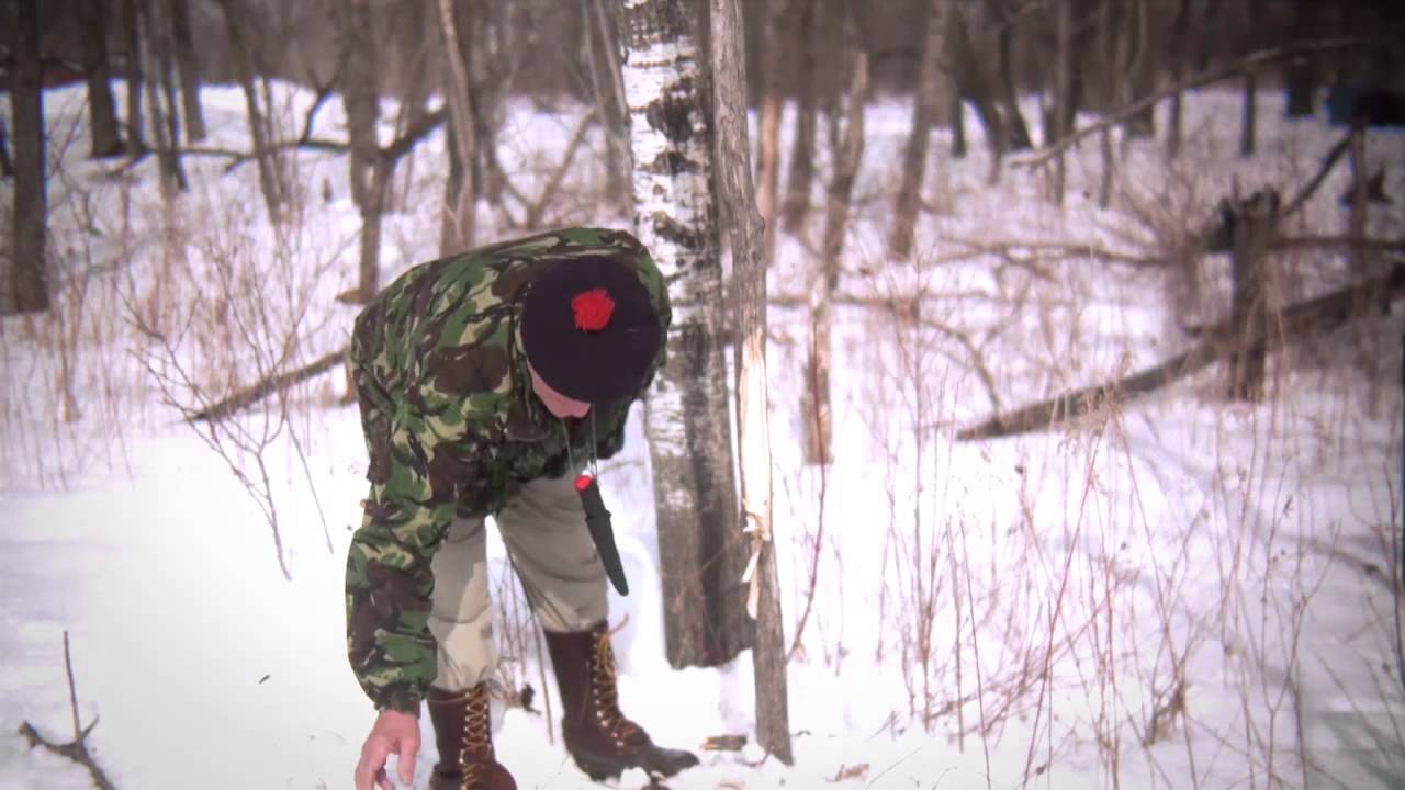 Морс Кохански: как разжечь огонь в неблагоприятных условиях. Компания Four Dog Stove