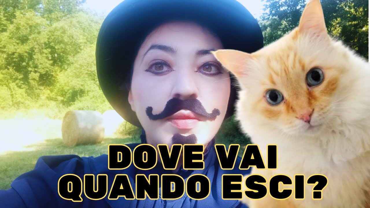 COSE CHE I MIEI GATTI NON SANNO