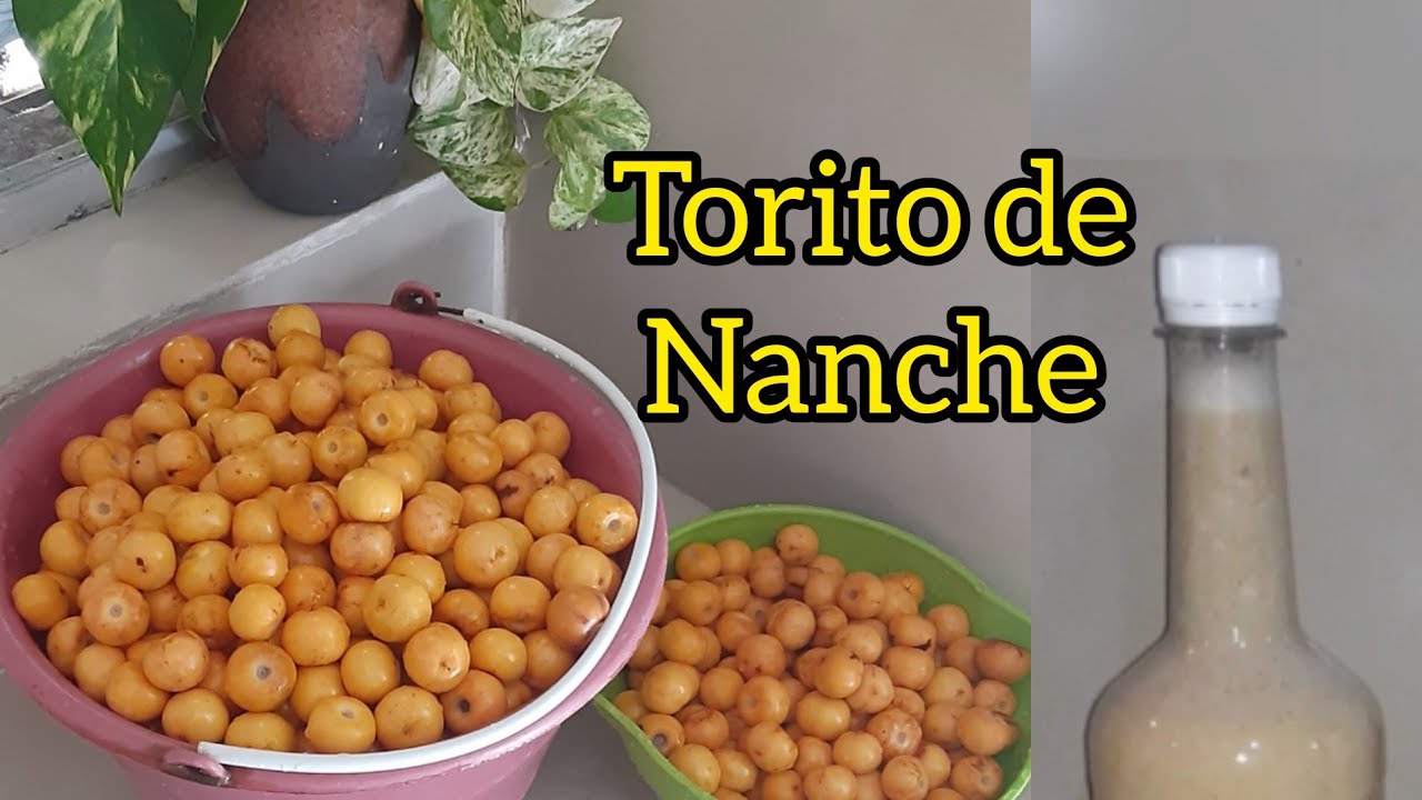 Torito de Nanche casero,super fácil y riquísimo