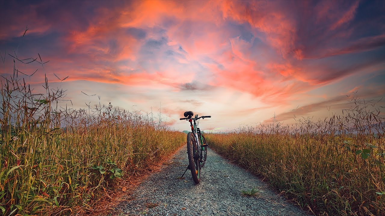 Offbeat Places in South Goa - Cycling through Paddy Fields
