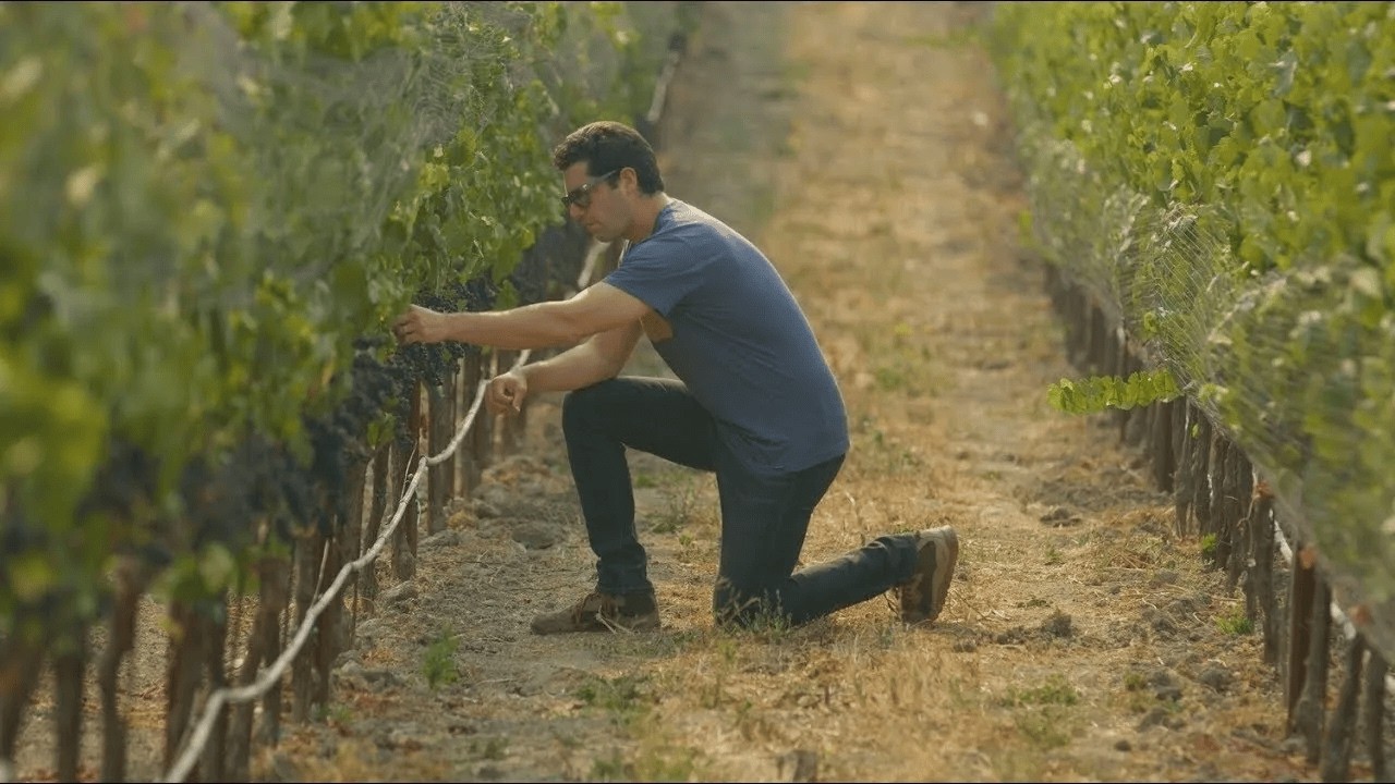Regenerative Organic Farming Practices at The Donum Estate