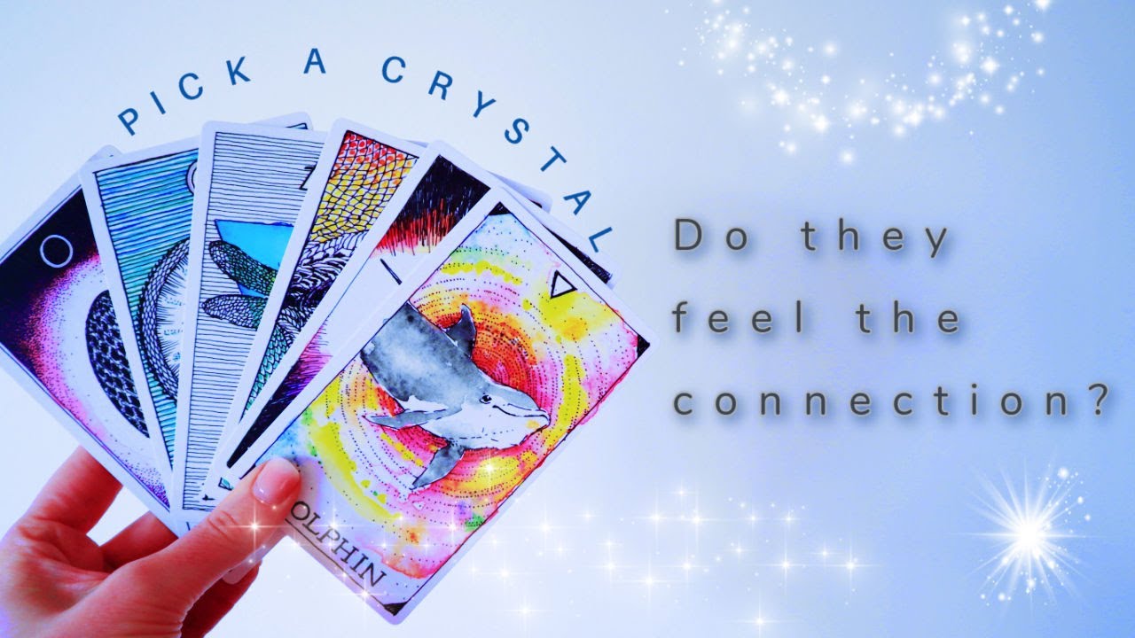 PICK A CARD Do they feel the connection? How do they feel about you right now! Tarot (timeless)