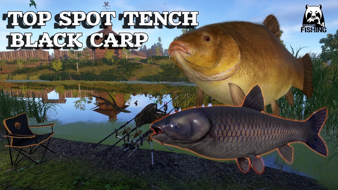 Russian Fishing 4 RF4  Old Burg Lake TOP SPOT TENCH AND BLACK CARP