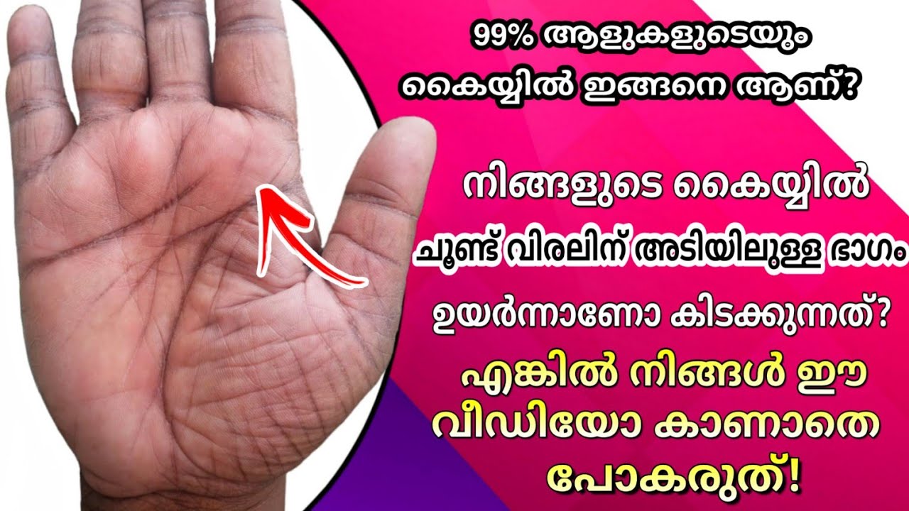 നിങ്ങളുടെ കൈയ്യിൽ വ്യാഴ മണ്ഡലം ഉയർന്നാണോ കാണുന്നത്?✋️ Palmistry in Malayalam/ക്ലാസ്സ്‌-2 വ്യാഴമണ്ഡലം