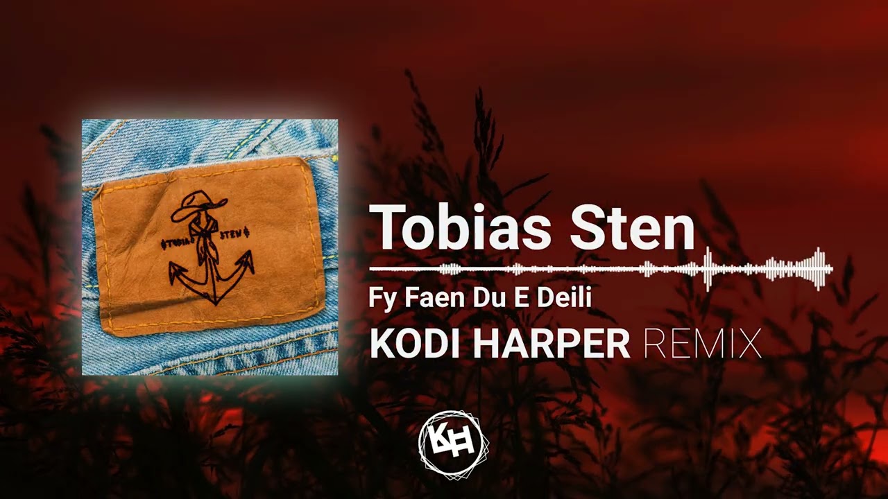 Tobias Sten - Fy Faen Du E Deili (KODI HARPER REMIX)