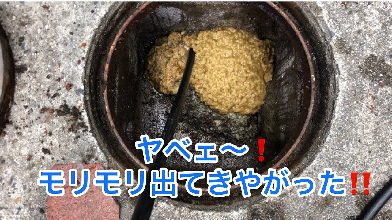 【閲覧注意‼️】３軒分の汚水が一気に流れてきます❗️