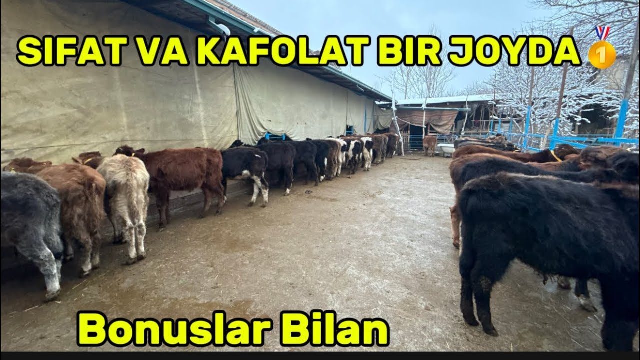 💥SIFAT VA IAHONCH BIR JOYDA ULGURIB QOLING😱