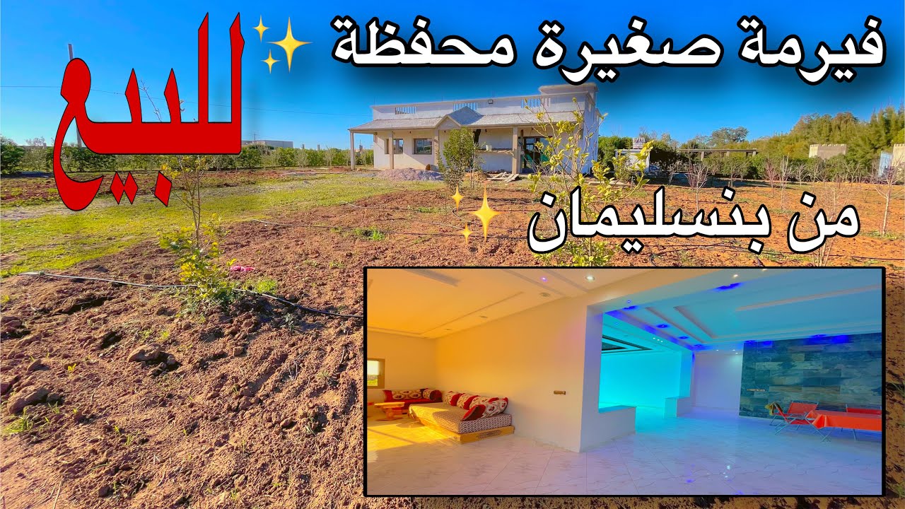 فيرمة محفظة صغيرة للبيع من📍بنسليمان قريبة للطريق و مربعة و الثمن جد مناسب ✨