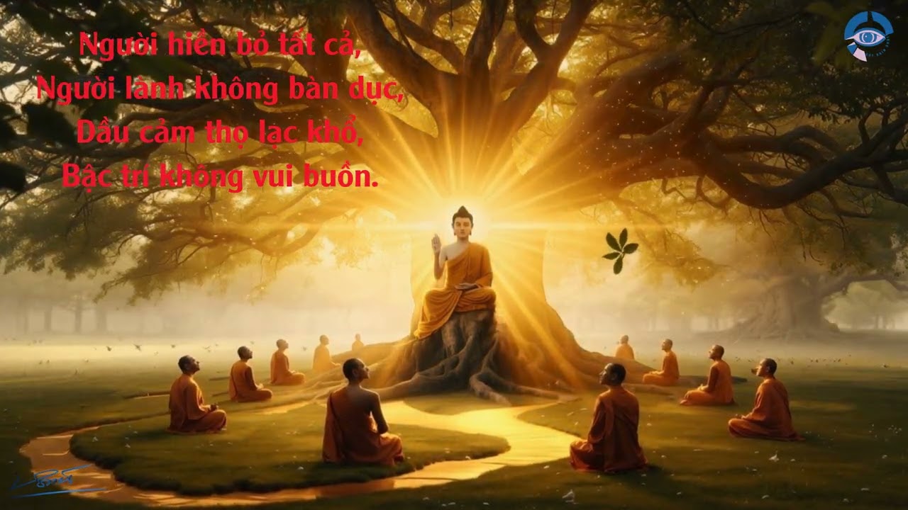 Buông bớt chấp để không còn làm chiếc lá giữa gió đời