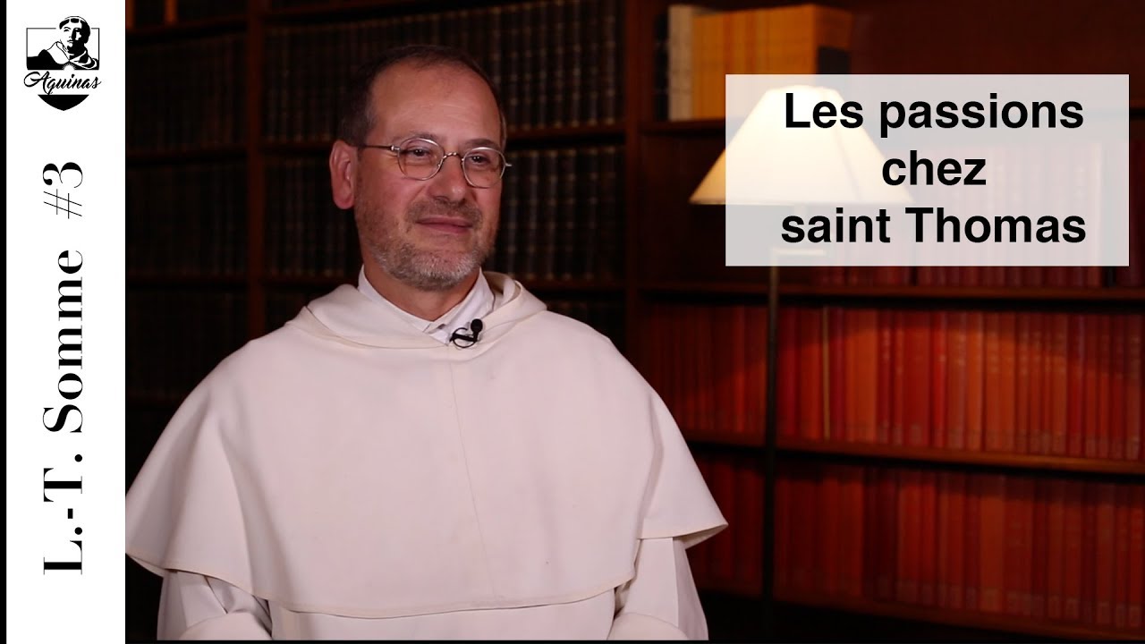 L.-T. Somme #3 : Les passions chez saint Thomas (I-II, 22-48)