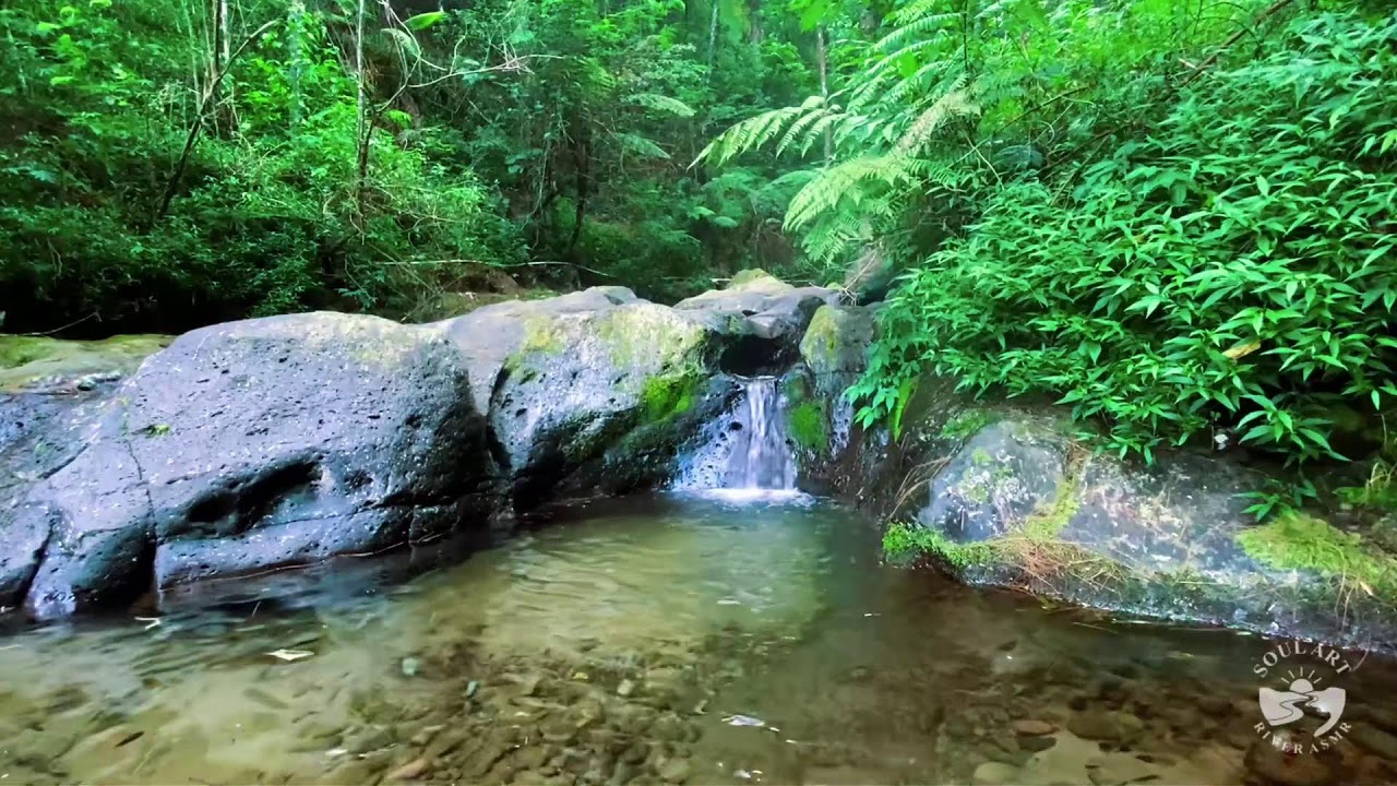 River Sounds & waterfall Sounds for Sleeping | Nature Stream for Relaxing & Stress Relief. #river 4