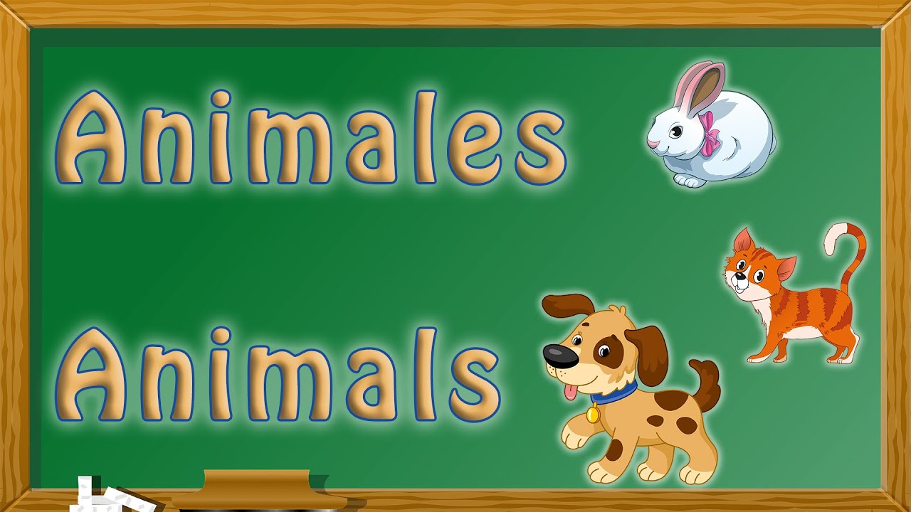 Animales Domesticos en Ingles para Niños y Sus Sonidos | Domestic Animals in Spanish with Sounds