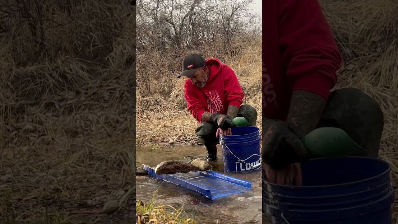 Finding insane placer gold in this small feeder creek!