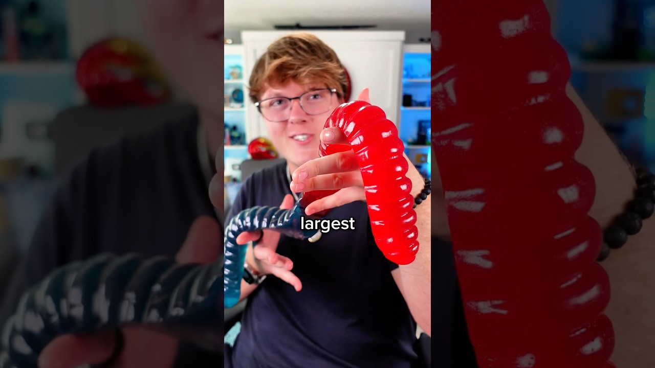 World&rsquo;s Largest Gummy Worm