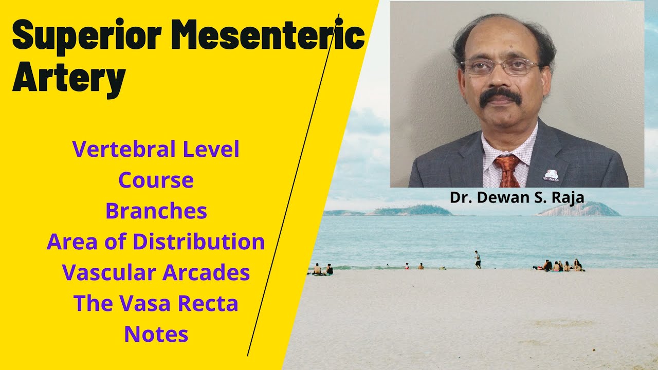 Superior Mesenteric Artery