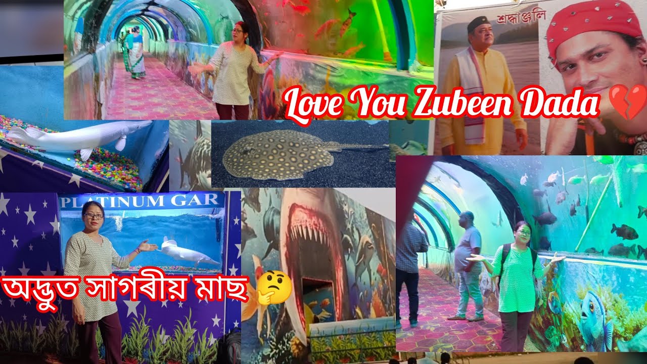 Day-11 শিৱসাগৰত সাগৰৰ মাছ। মোক এৰি বেলেগক বিয়া পতাজনক পোৱা হ'লে 😊#dailyvlog #assamesevideo #funfish