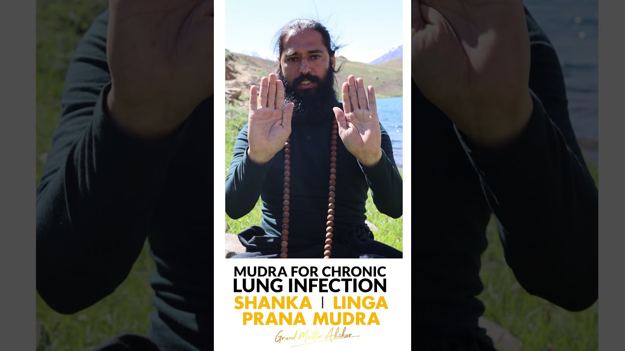 Heal Chronic Lung Infection | Shanka Mudra, Linga Mudra & Prana Mudra by Grand Master Akshar #shorts