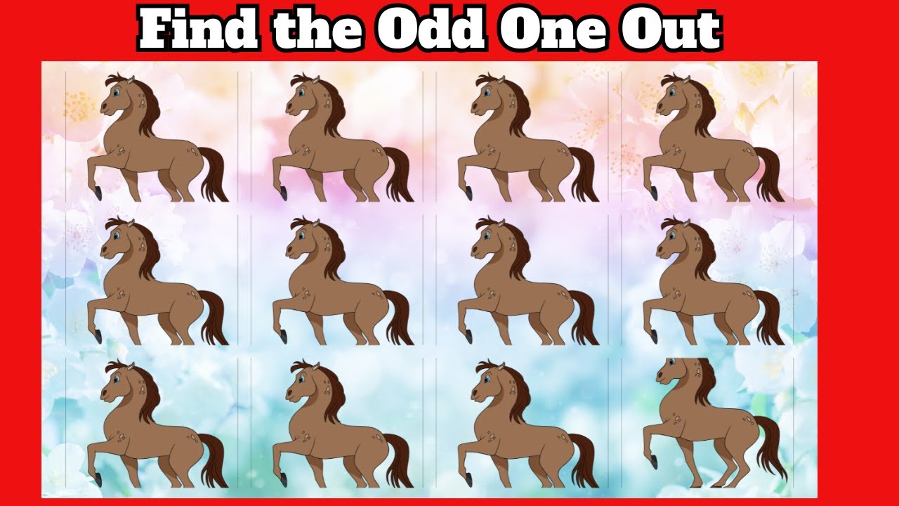 Spot the Odd Cute Farm Animals Easy to Medium Odd One Out Test Your Skills of Observation Game